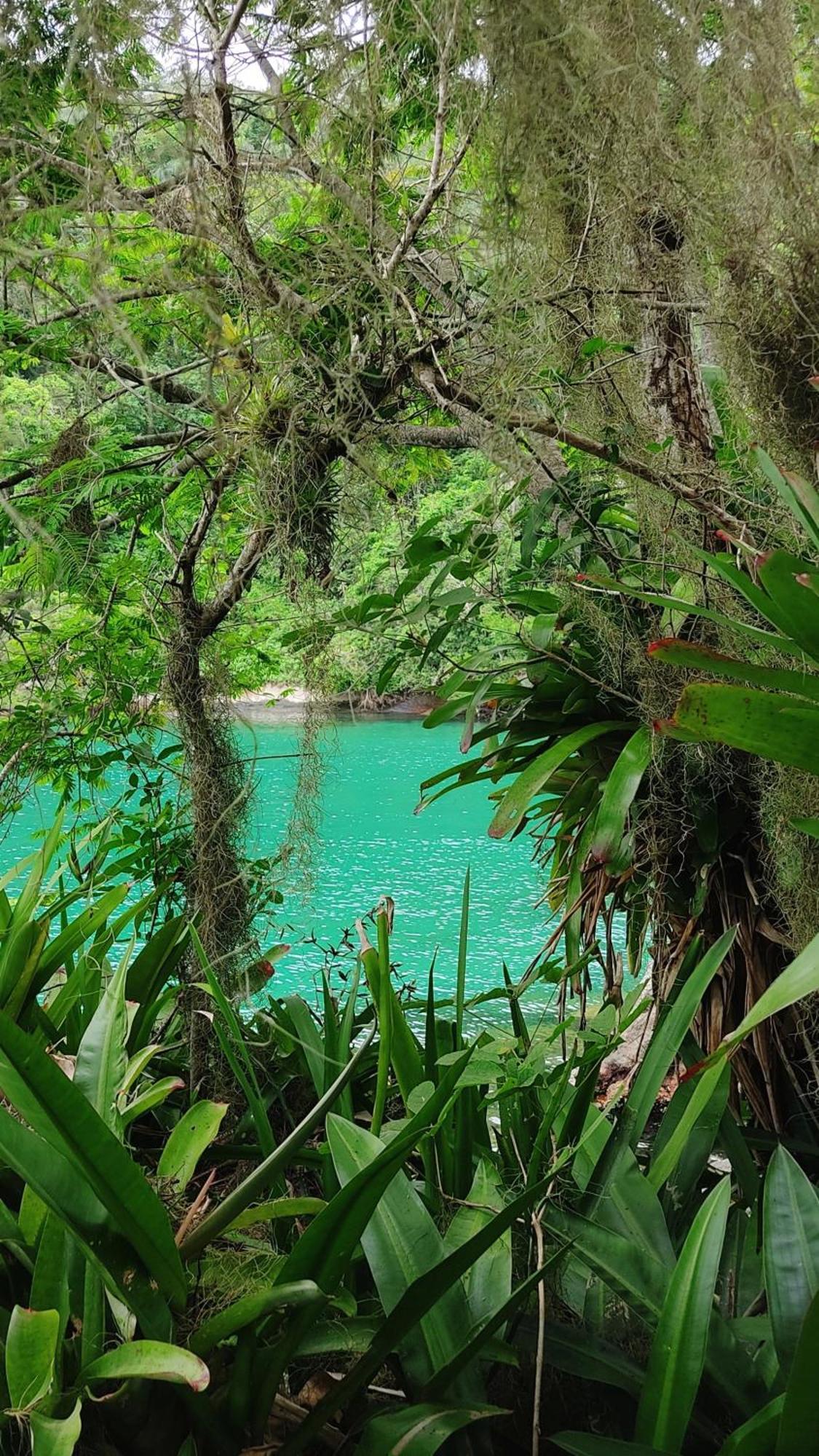 Chalés da Longa Angra dos Reis Kültér fotó